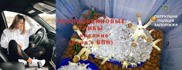 стаф Беломорск