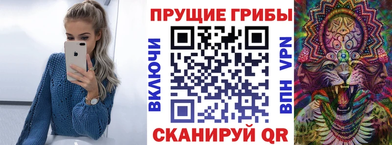 OMG tor  Междуреченск  Галлюциногенные грибы Psilocybine cubensis 